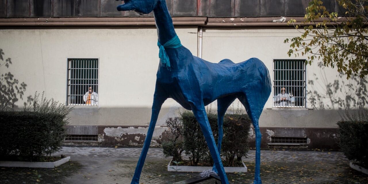 La libertà è un cavallo azzurro