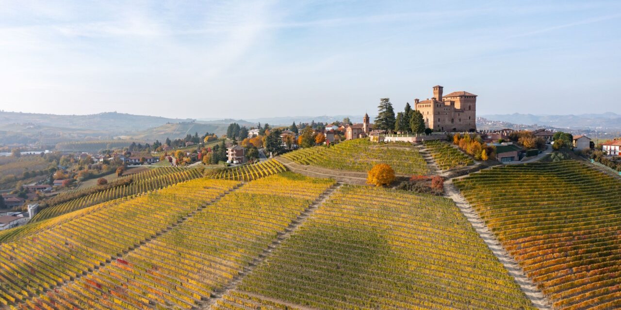 8ª edizione 2023 OMAGGIO “Langhe-Roero e Monferrato: Onde di bellezza  e geometrie coltive nei paesaggi e nei paesi del vino”