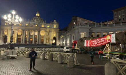 SARA’ ACCESO DOMANI IN VATICANO L’ALBERO DI NATALE DONATO DAL PIEMONTE A PAPA FRANCESCO