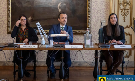 Natimortalità delle imprese torinese nel 2023