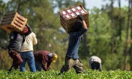 Il Piemonte modello positivo nella lotta al caporalato