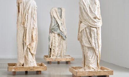 PROGETTO CROSSING A PALAZZO MADAMA TORINO
