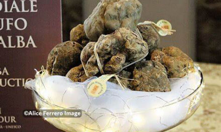 XXV Edizione dell’Asta Mondiale del Tartufo al Castello di Grinzane Cavour