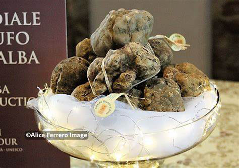 XXV Edizione dell’Asta Mondiale del Tartufo al Castello di Grinzane Cavour