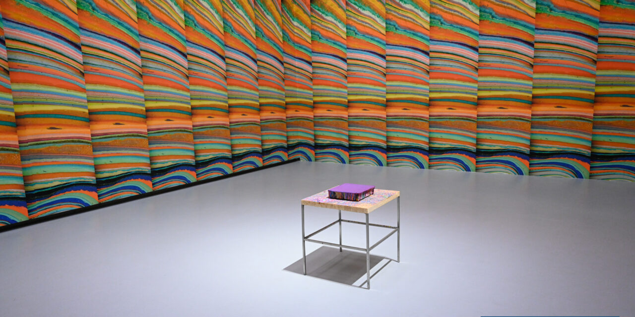 I VISITATORI DEL WEEKEND  DELL’ARTE CONTEMPORANEA TORINESE