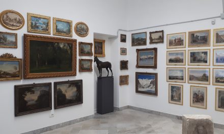 APERTURA STRAORDINARIA  DEI DEPOSITI DEL MUSEO ACCORSI-OMETTO