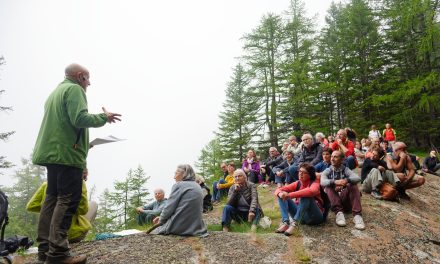 8° EDIZIONE DEL  GRAN PARADISO DAL VIVO  Festival di teatro natura