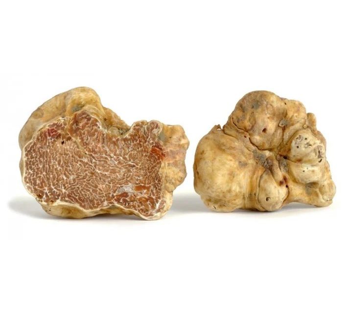 PIANO TRIENNALE DELLA REGIONE PER IL TARTUFO