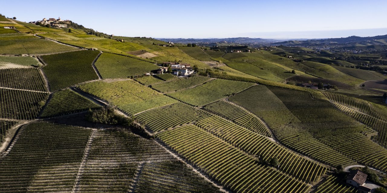 Vi racconto l’Ultima Vendemmia