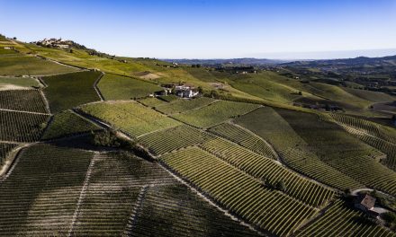 Vi racconto l’Ultima Vendemmia