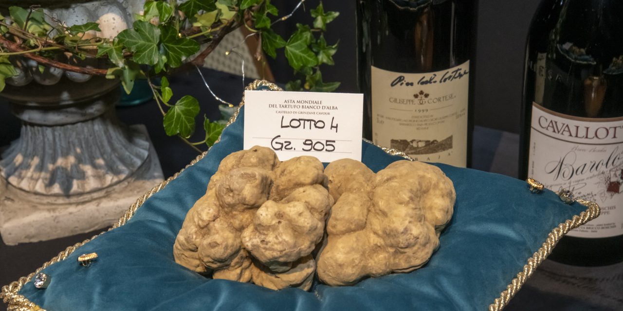XXVI edizione dell’Asta Mondiale del Tartufo Bianco d’Alba