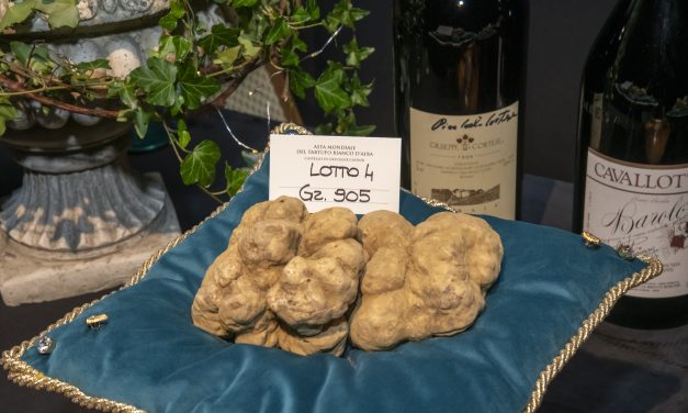 XXVI edizione dell’Asta Mondiale del Tartufo Bianco d’Alba