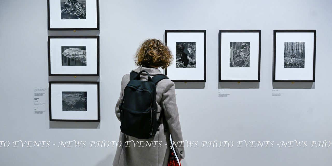 CAMERA – Centro Fotografico Italiano ospita dal 12 febbraio – 2 giugno 2026 la mostra ” Edward Weston. La materia delle forme”  , a cura di Sérgio Mah
