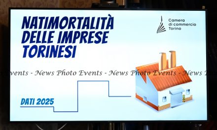 Natimortalità delle imprese nel 2025