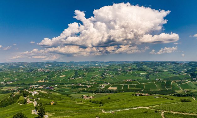 Piano di Gestione 2025-2031