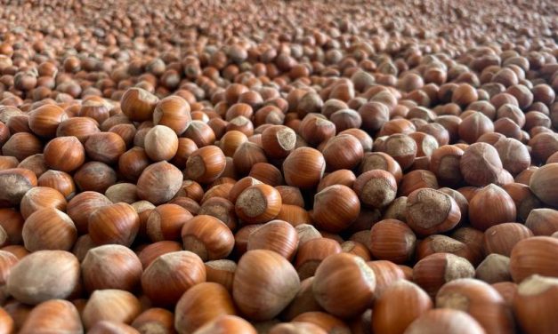 Coldiretti Torino sostiene la candidatura del Giandujotto di Torino al riconoscimento IGP 